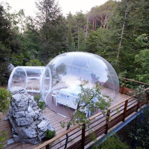 Image principale BULLES DES BOIS
