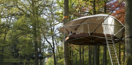 Image principale TREE GLAMPING LA COUé OUVERTURE LE 6 MAI