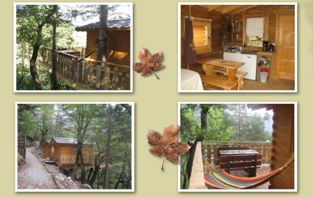 Image principale MAISONS DANS LES ARBRES