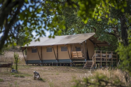 Image principale TENTE LODGE DE POUDALLY
