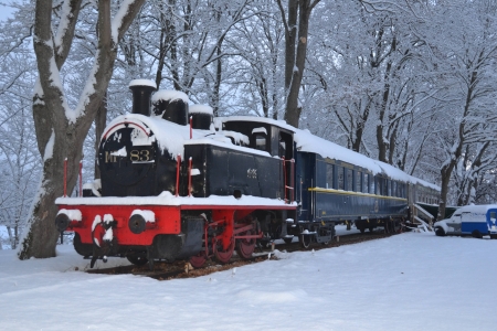Image principale LE TRAIN DES RêVES