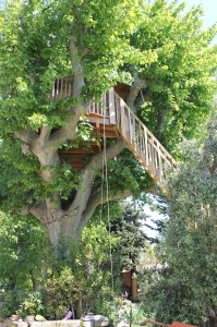 Image principale LA CABANE DES VOLETS BLEUS PROVENCE