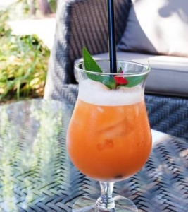 Image hebergement insolite COTTAGE PREMIUM DOUBLE TERRASSE