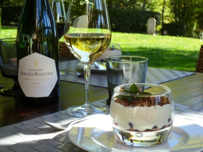 Image hebergement insolite SAFARI WOODY