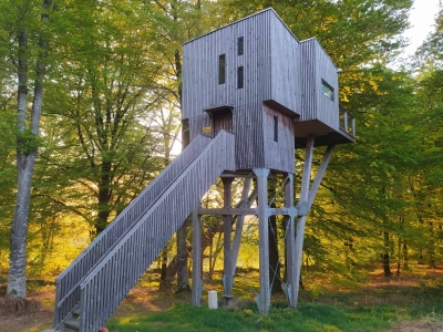 Image hebergement insolite CABANE DANS LES ARBRES NORMANDIE A L'ETAPE EN FÔRET