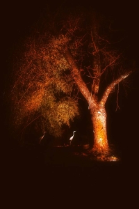 Image hebergement insolite LE SPA DU CABANON