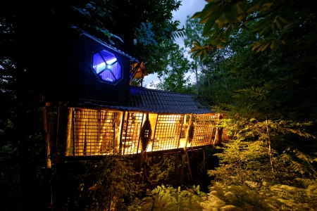 Image hebergement insolite LE VERTIGE DU TIGRE