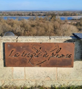 Image hebergement insolite HISTOIRE, TROGLO, ENTRE LOIRE ET VIGNES, AU COIN DU FEU