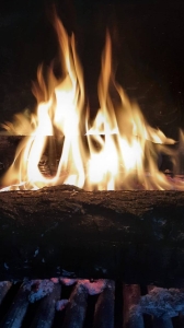 Image hebergement insolite HISTOIRE, TROGLO, ENTRE LOIRE ET VIGNES, AU COIN DU FEU