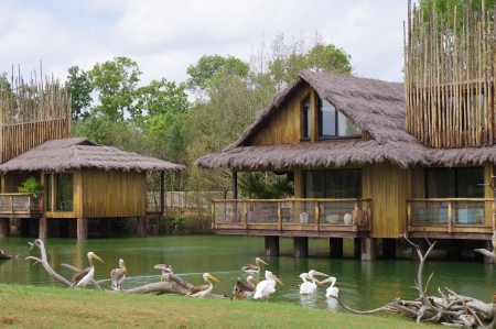 Image hebergement insolite LODGES SAVANNAH