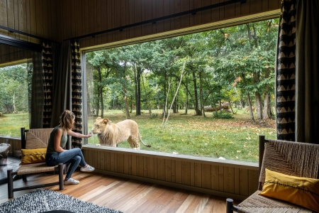 Image hebergement insolite LODGES LIONS