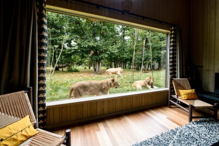 Image hebergement insolite LODGES LIONS
