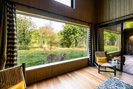 Image hebergement insolite LODGES GUÉPARDS