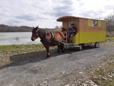 Image hebergement insolite VERITABLE ROULOTTE ITINERANTE AVEC CHEVAL ET COCHER