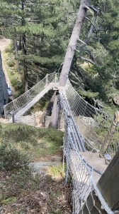 Image hebergement insolite COCOON VILLAGE