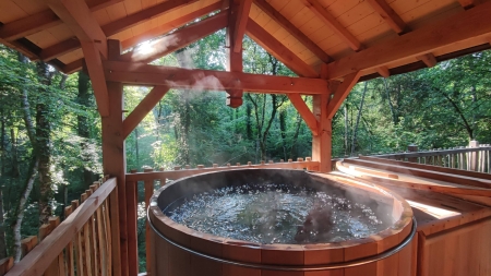 Image hebergement insolite LE DÔME PERCHÉ SPA