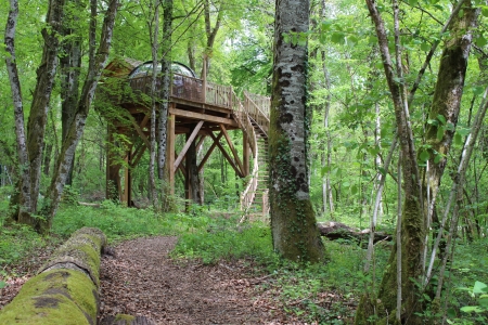 Image hebergement insolite LE DÔME PERCHÉ SPA