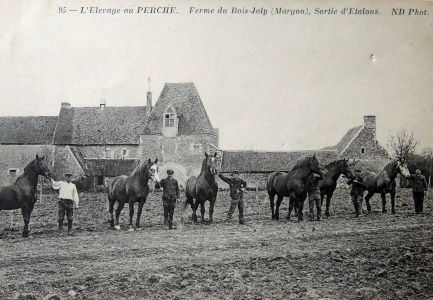 Image hebergement insolite MANOIR DU BOIS JOLY - ROULOTTE VINTAGE