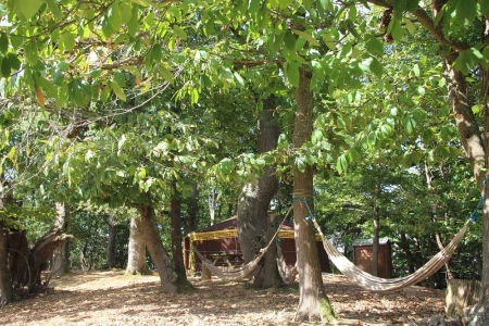 Image hebergement insolite LA GRANDE YOURTE