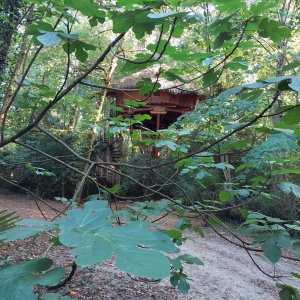 Image hebergement insolite CABANE MILLES ET UNE NUIT