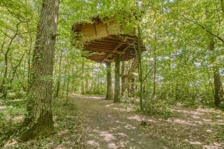 Image hebergement insolite CABANE ÉCUREUILS