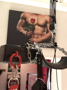 Image hebergement insolite SUITE COQUINE PRESTIGE