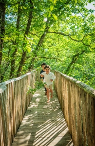 Image hebergement insolite LES CABANES PERCHÉES AUX CABANES DE JEANNE