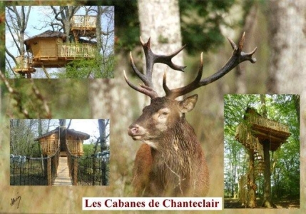 Image hebergement insolite LES CABANES DE CHANTECLAIR