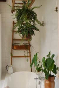 Image hebergement insolite LE NID