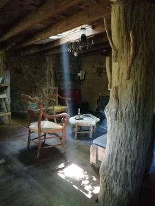 Image hebergement insolite LA CABANE DU TERRIER