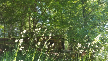 Image hebergement insolite LA CABANE DU TERRIER