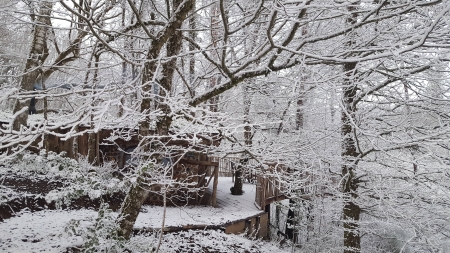 Image hebergement insolite LA CABANE DU TERRIER