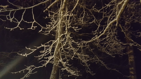 Image hebergement insolite LA CABANE DU TERRIER