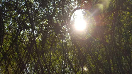 Image hebergement insolite LA CABANE DU PÊCHEUR