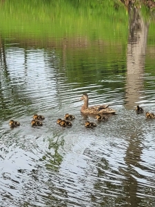 Image hebergement insolite LA CABANE DU PÊCHEUR
