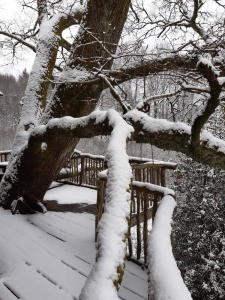 Image hebergement insolite LA CABANE DE LA MARGO