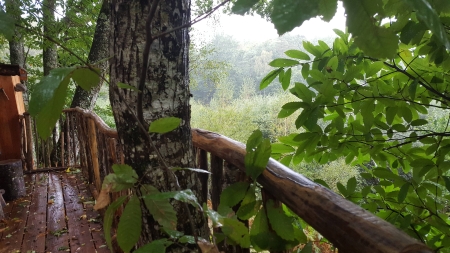 Image hebergement insolite LA CABANE DE LA SÉLÉNÉ