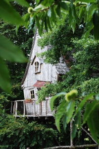 Image hebergement insolite LA CABANE DU SOLEIL