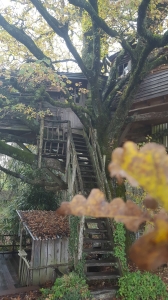 Image hebergement insolite LA CABANE DE LA PEYRADE