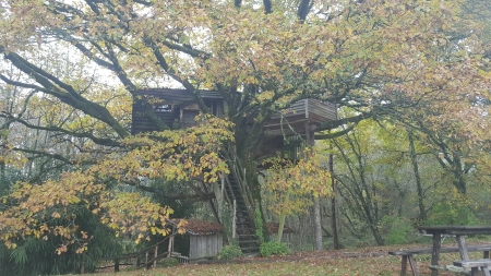 Image hebergement insolite LA CABANE DE LA PEYRADE