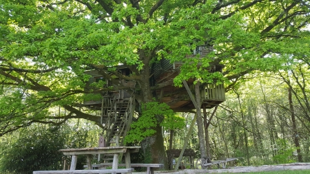 Image hebergement insolite LA CABANE DE LA PEYRADE