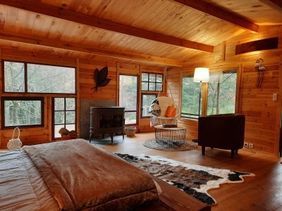 Image hebergement insolite LA CABANE FOREST COCOON & SPA