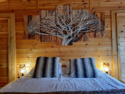 Image hebergement insolite LA CABANE FOREST COCOON & SPA