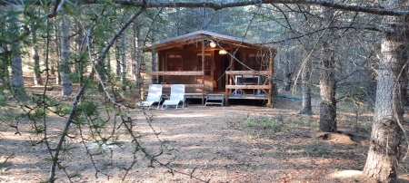 Image hebergement insolite L'ECOLODGE DES BOIS