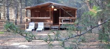 Image hebergement insolite L'ECOLODGE DES BOIS