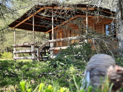 Image hebergement insolite LA CABANE ROBINSON