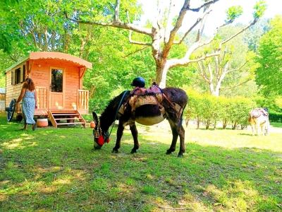 Image hebergement insolite ROULOTTE CÉVENOLE