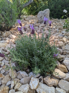 Image hebergement insolite LA CLE DES CHAMPS