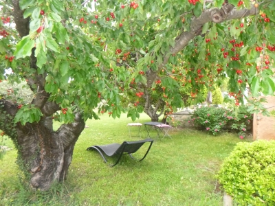 Image hebergement insolite LA CLE DES CHAMPS