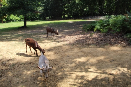 Image hebergement insolite LA GRANDE YOURTE